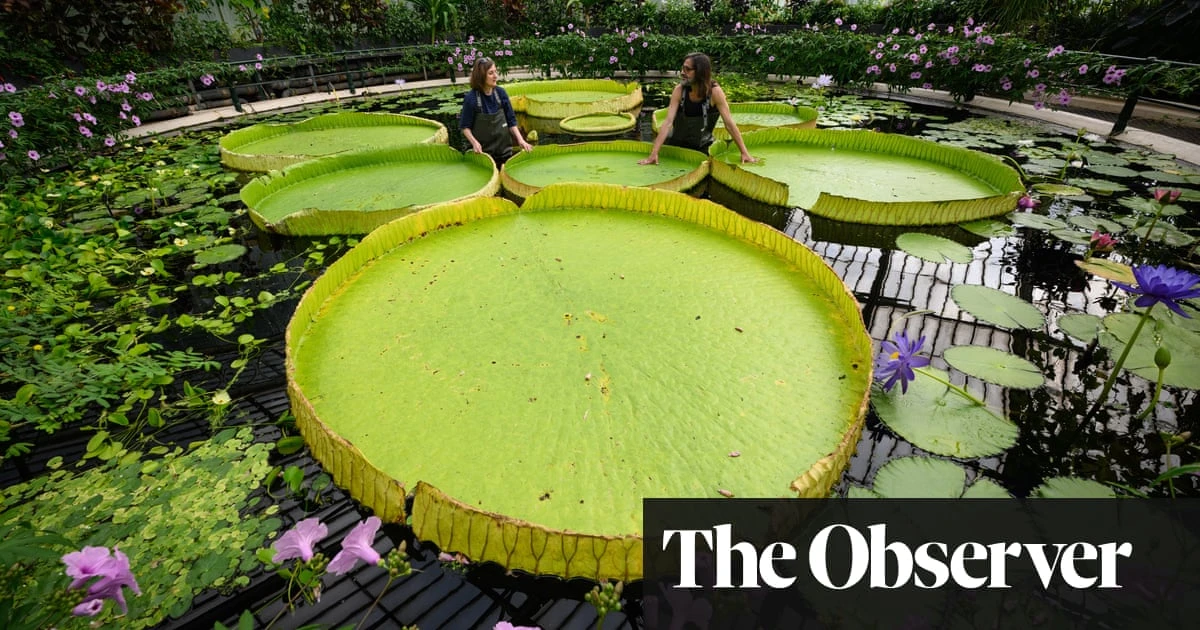 ‘Cultural vandalism’: row as Kew Gardens and Natural History Museum plan to move collections out of London