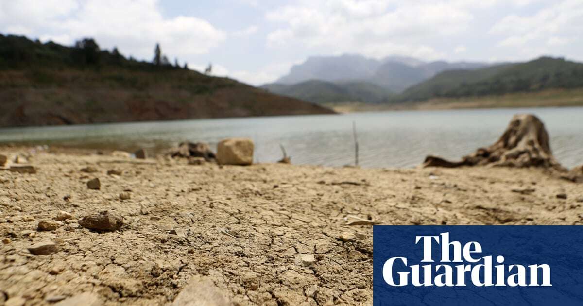 ‘Whack-a-mole situation’: Algerian officials wrestle with water shortage anger