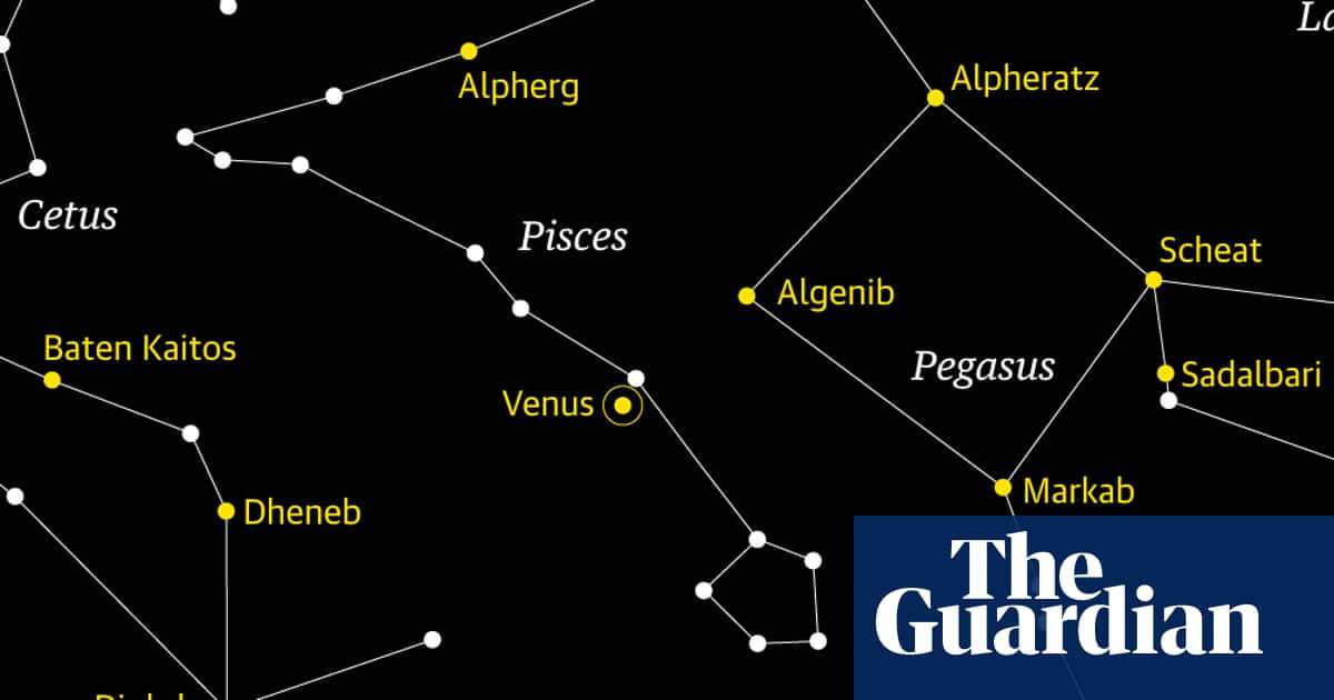 Starwatch: look out for Venus blazing brightly in inconspicuous Pisces