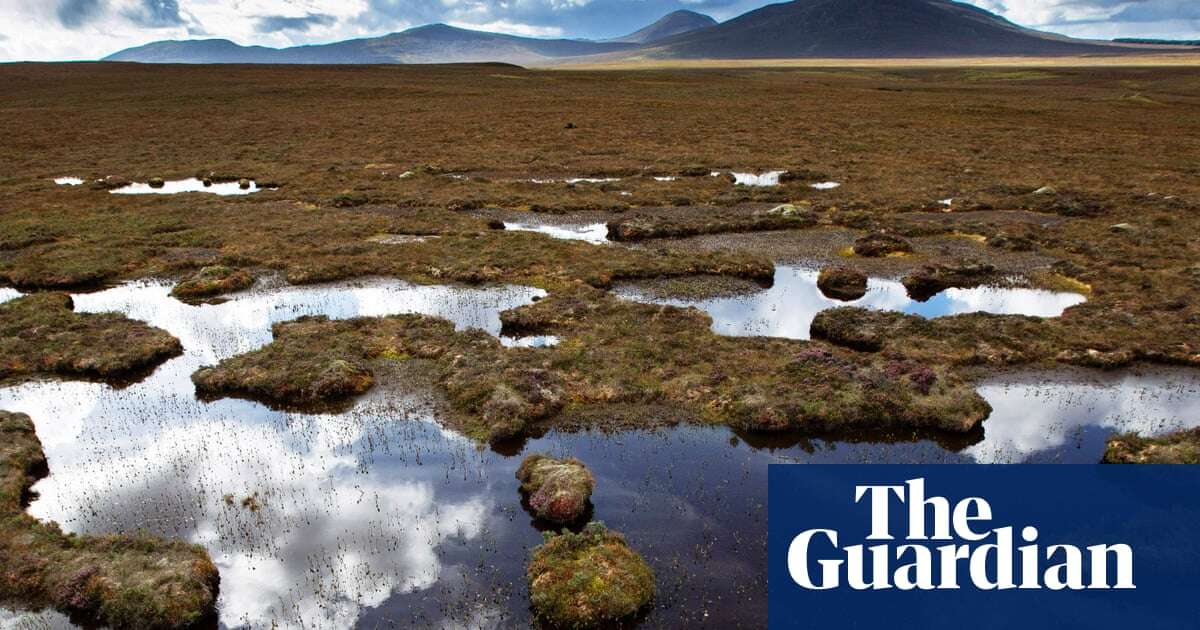 Northern Scotland’s Flow Country becomes world heritage site