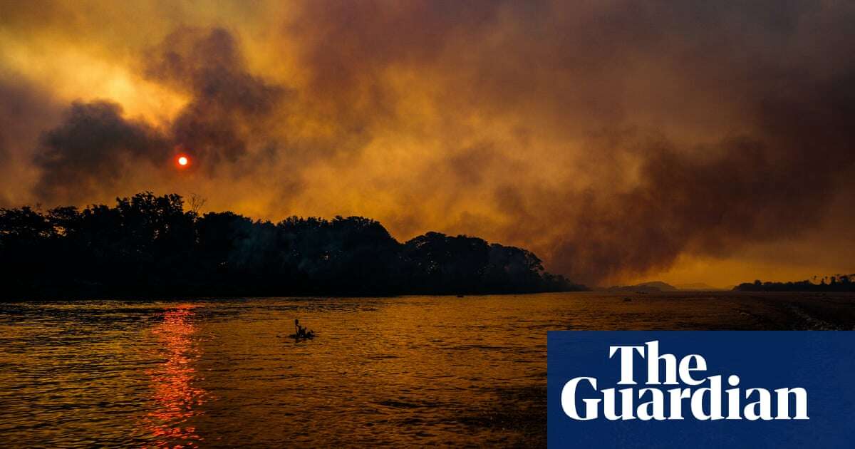 Devastation as world’s biggest wetland burns: ‘those that cannot run don’t stand a chance’