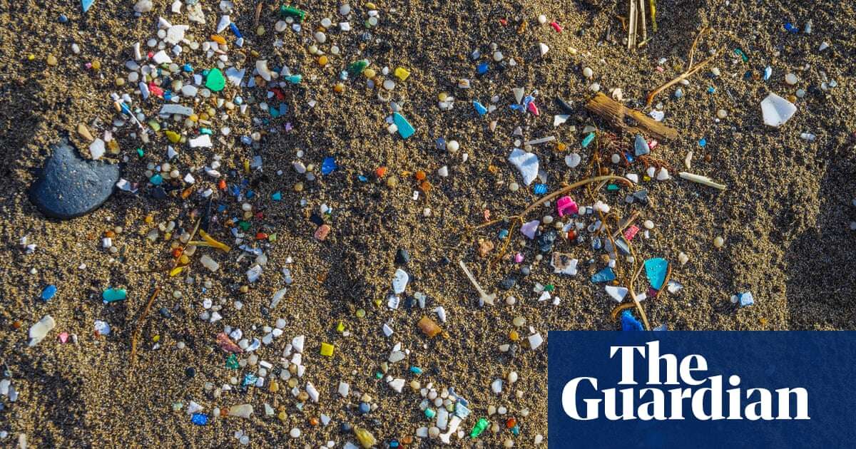 Study finds microplastic contamination in 99% of seafood samples