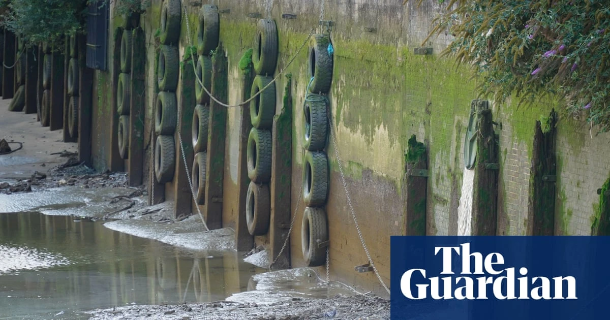 English water firms’ ratings hit record low after sewage pollution soars