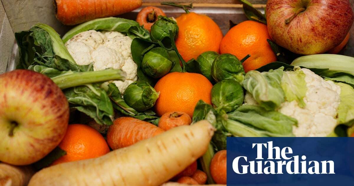 Labour backs plans for £15m fund to distribute surplus food from farms