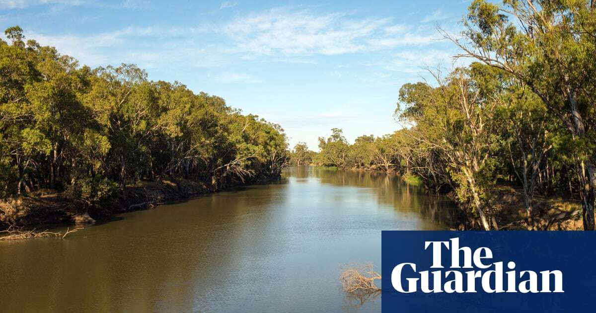 ‘Ecosystems are collapsing’: one of Australia’s longest rivers has lost more than half its water in one section, research shows