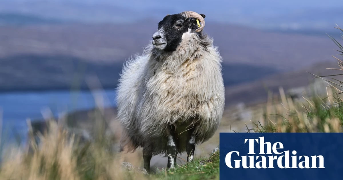Making weaves: the resurgence in Harris tweed production – in pictures