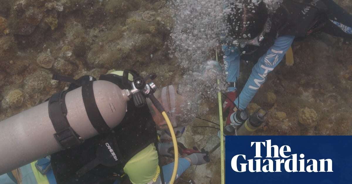 Sound from healthy coral reefs could encourage degraded ones to regenerate, experts say – video