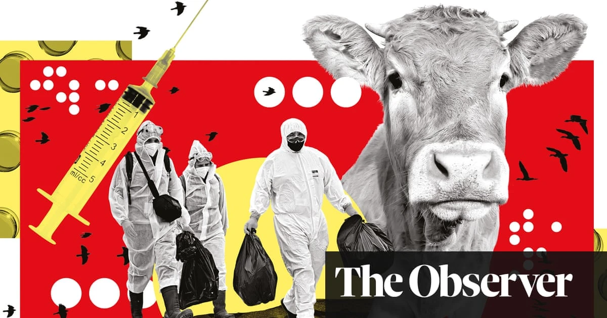 ‘The issue is when to pull the trigger’: how prepared are we for human bird flu?
