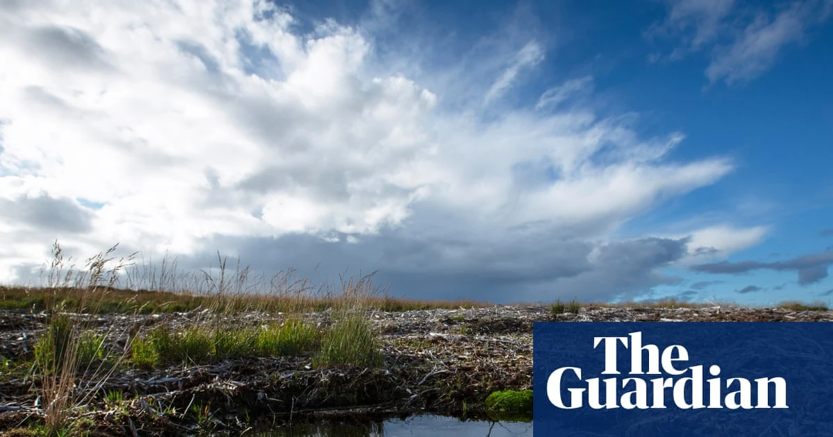NatureScot may raise ‘more than £100m’ in private investment for conservation