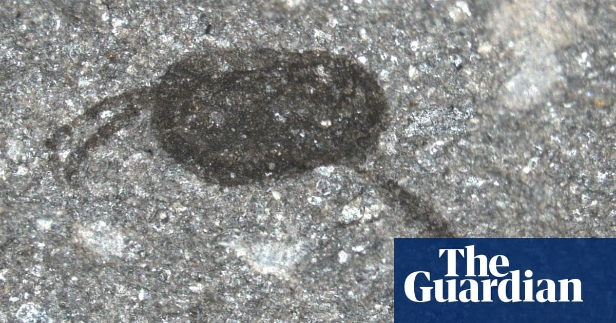 Biology Couple unearths one of world’s greatest fossil finds in mid-Wales
