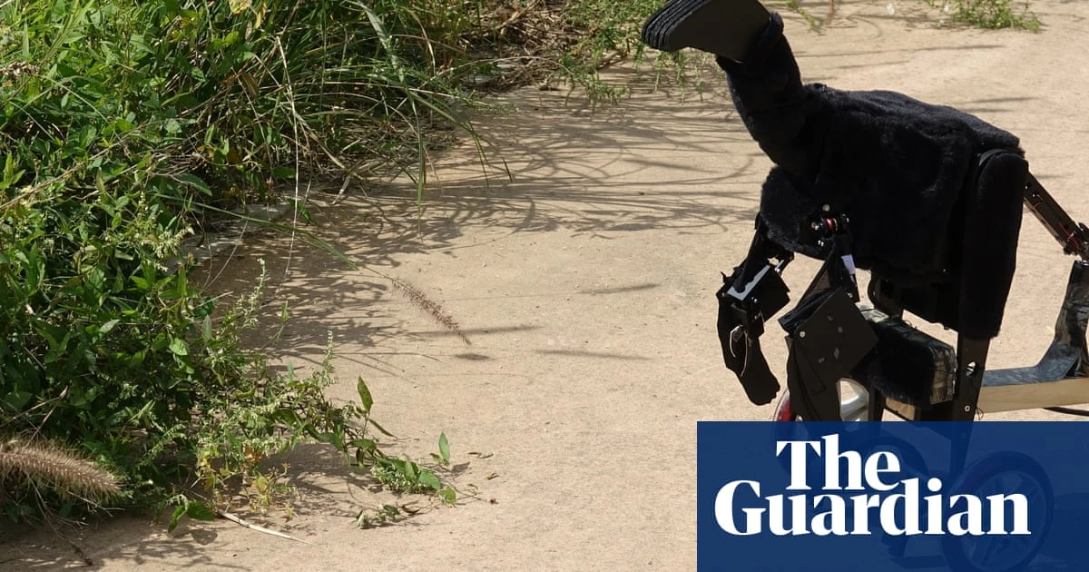 Scientists use robot dinosaur in effort to explain origins of birds’ plumage