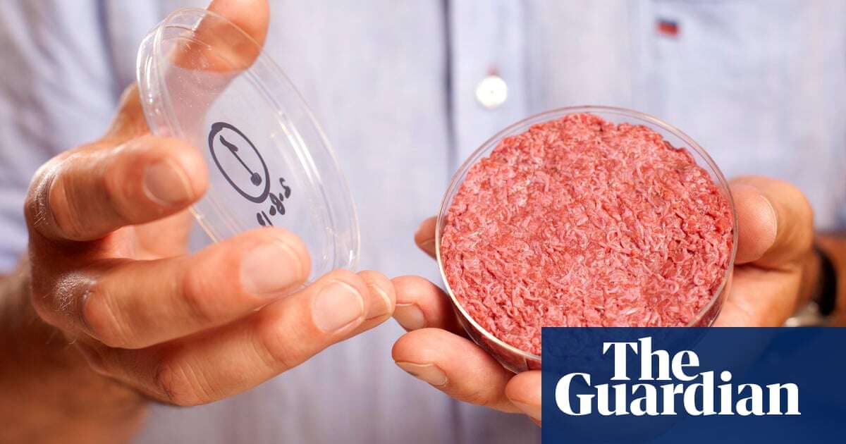 Lab-grown meat could be sold in UK in next few years, says food regulator