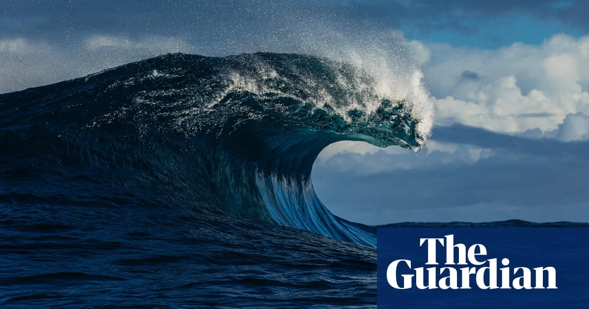 Australian government to declare almost a third of its oceans ‘highly protected’ in the next five years