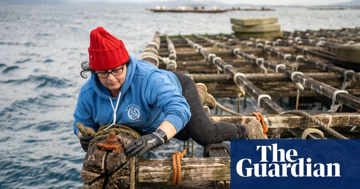 ‘We ask to be recognised’: small fishers claim €12bn EU fund favours big players