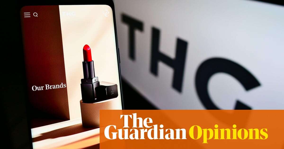 An ingenious plan to revive THG, or too clever by half? | Nils Pratley