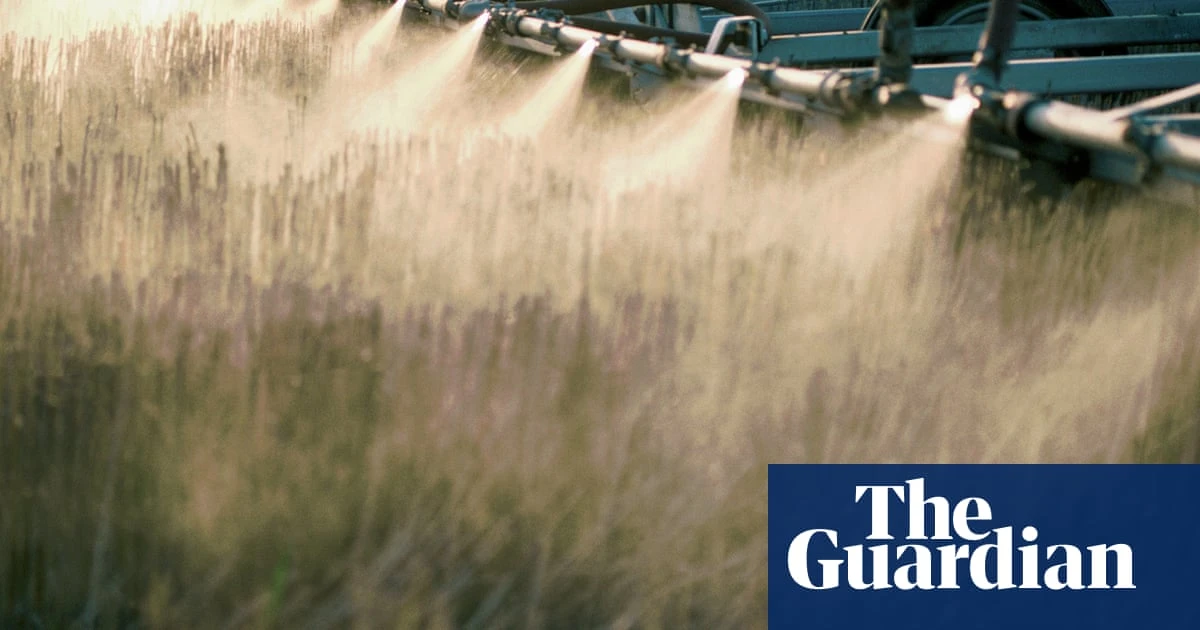 Weedkiller ingredient widely used in US can damage organs and gut bacteria, research shows