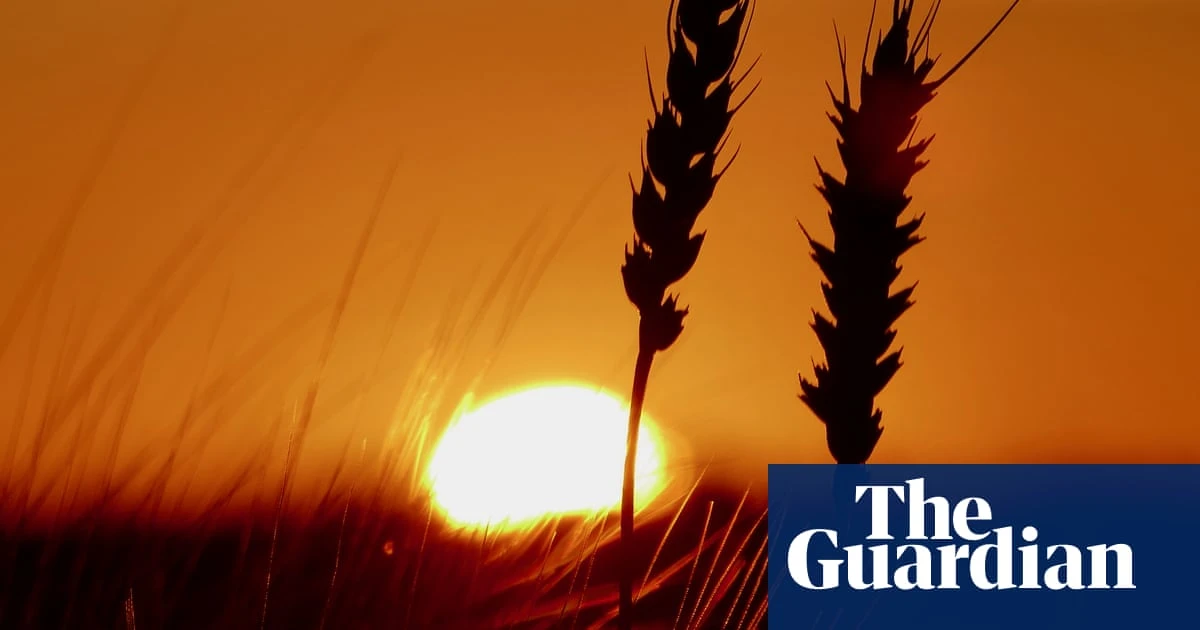 ‘Profound concern’ as scientists say extreme heat ‘now the norm’ in UK