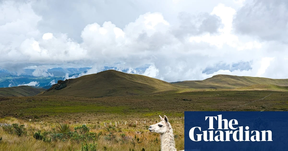 Tapirs, hummingbirds and a billion-dollar bedrock of gold: the Ecuador reserve that is now a battlefield over a new mine