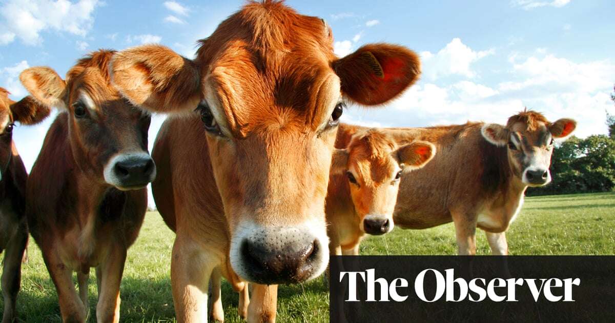 Scientists dismayed as UK ministers clear way for gene editing of crops - but not animals