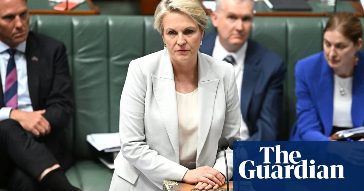 New Australian environment laws would not stop widespread deforestation, organisations say
