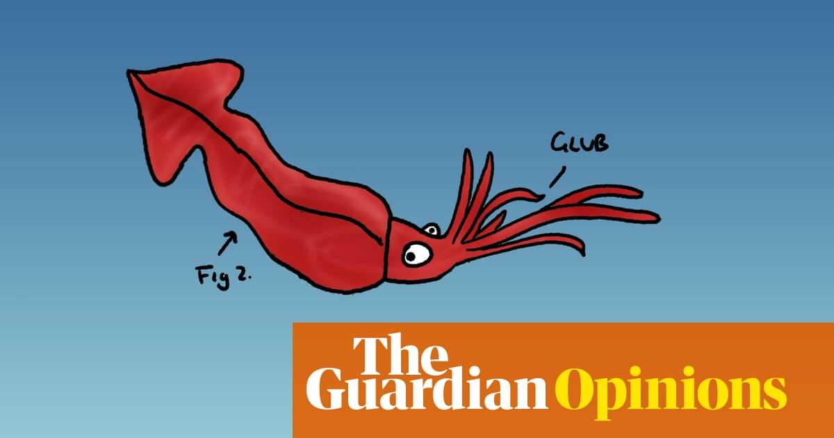 Invertebrates! Everyone loves invertebrates! Which is your favourite? | First Dog on the Moon