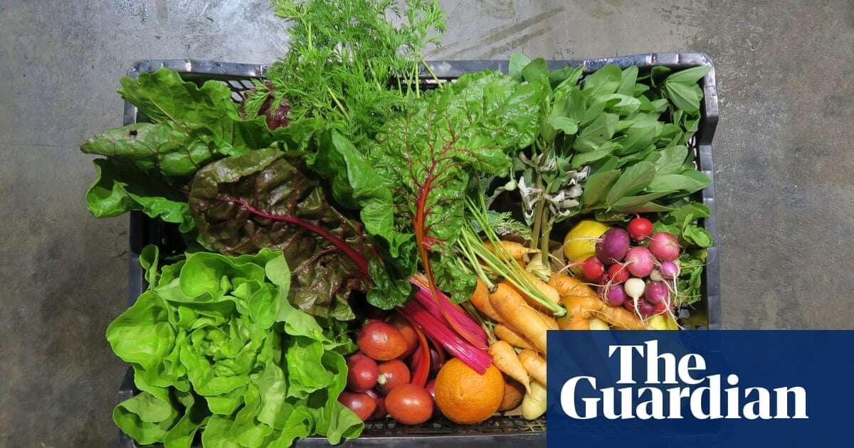 Victoria trials reusable crates for fresh produce to cut ‘invisible’ waste from supply chain