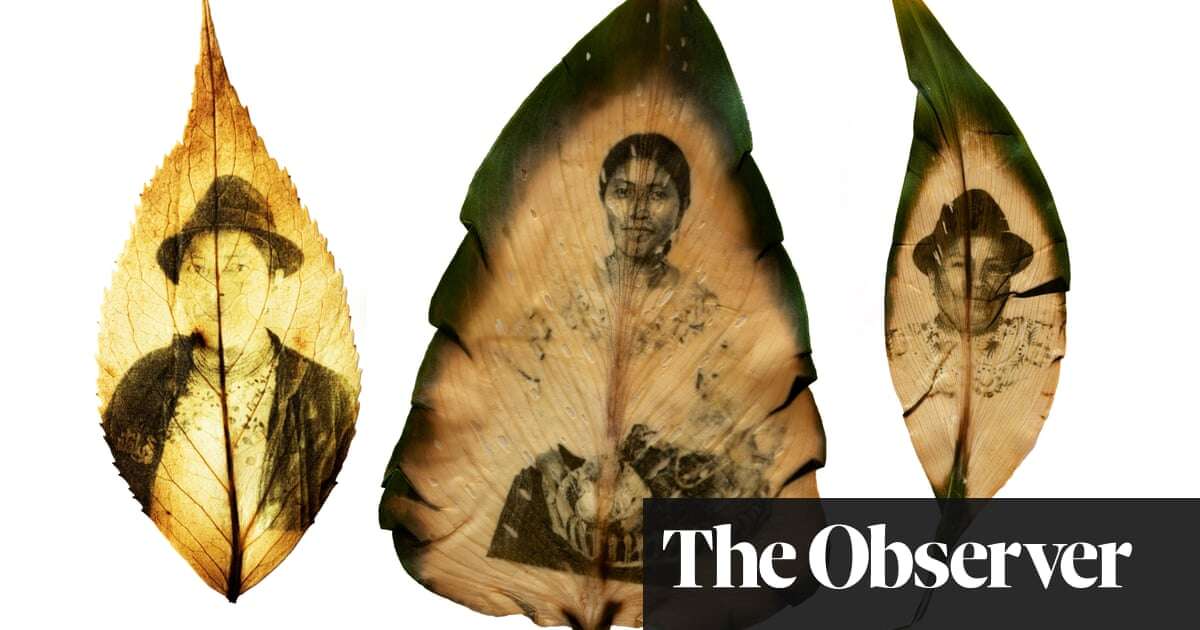 This land is your land: leaf portraits of Ecuador’s female farmers – in pictures