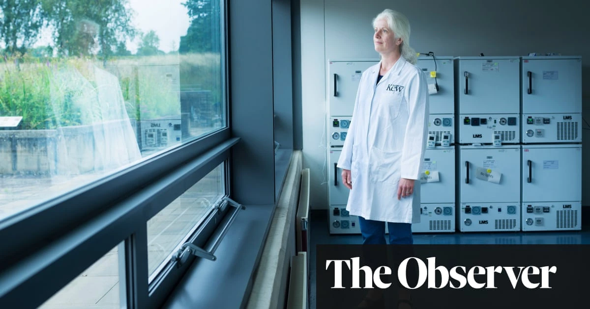 The doomsday vaults storing seeds, data and DNA to protect our future