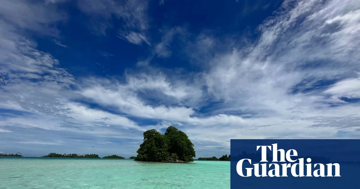 Fungi: the invisible force protecting our planet – podcast