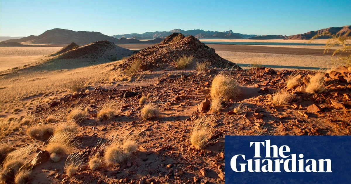 ‘People think they’ll smell but they don’t’: inside the Namibian homes built from mushrooms