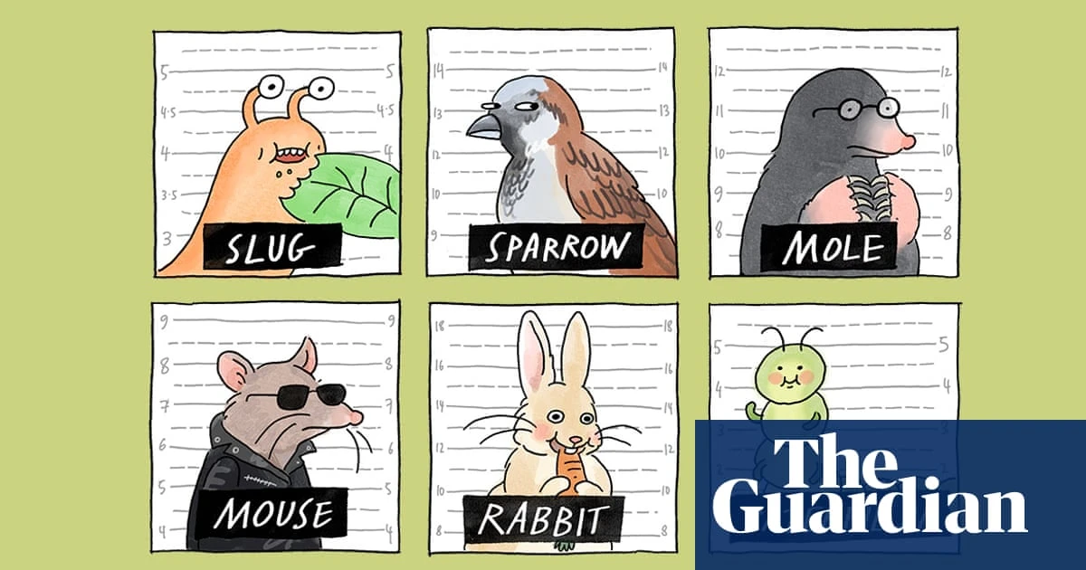 From peeing on your veg patch to hanging up old CDs – the tricks and tips that will (and won’t) deter garden pests