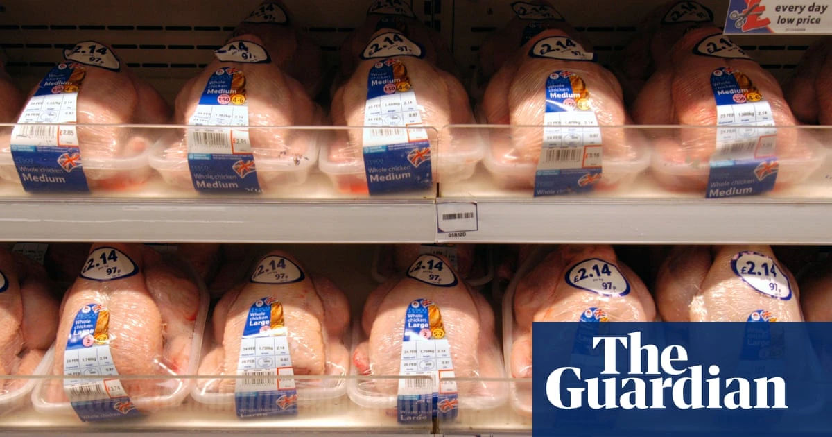 UK could face gaps on supermarket shelves by summer if Iran war continues