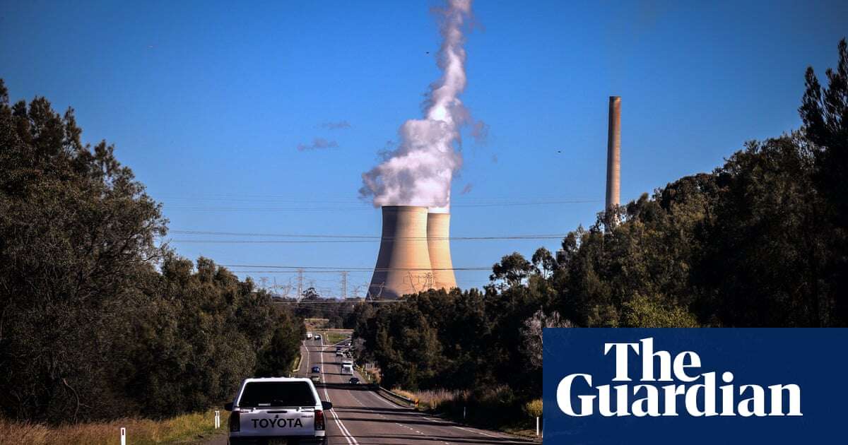 Germany’s top climate envoy says ‘this is the critical decade’ after Dutton ditches 2030 target