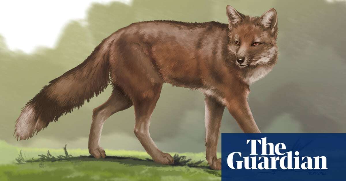 Fox bones at ancient burial site suggest animal may have been kept as pet