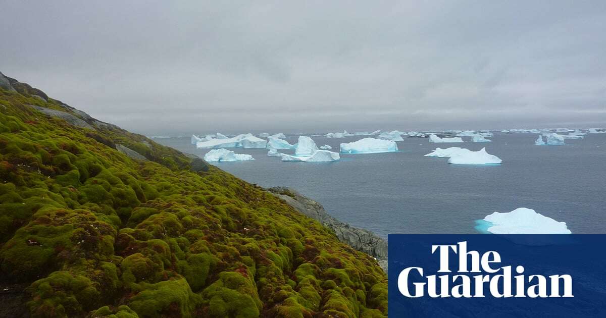 Antarctic plant cover growing at dramatic rate as climate heats