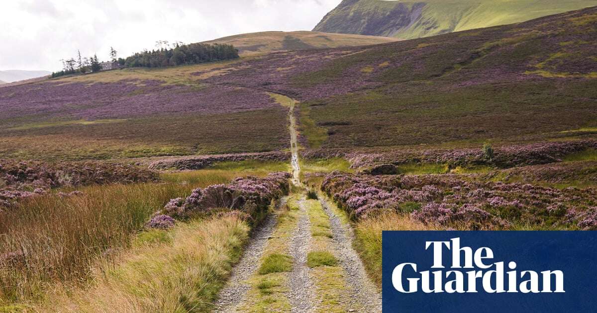 ‘A 100-year vision’: Skiddaw’s barren peak to spring to life in ambitious rewilding