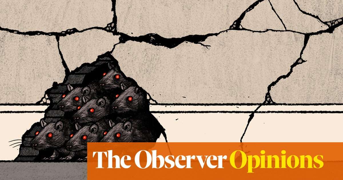 An information dark age is upon us. I’m logging off | Stewart Lee