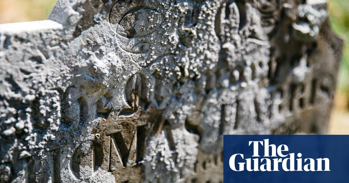 Looking for lichen: Church of England launches search for life on gravestones