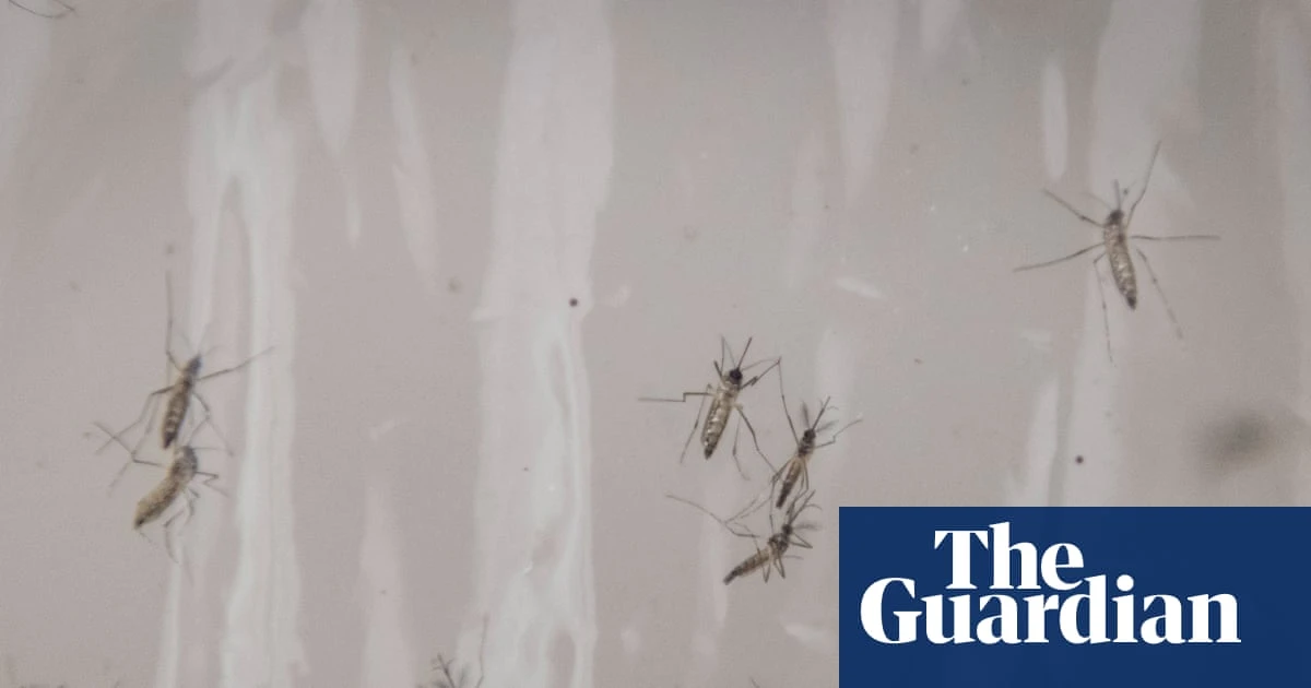 Debugging: Google requests permission to release 32m mosquitoes in California and Florida