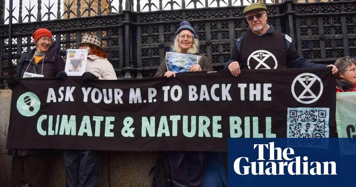 UK climate and nature bill dropped after deal with Labour backbenchers