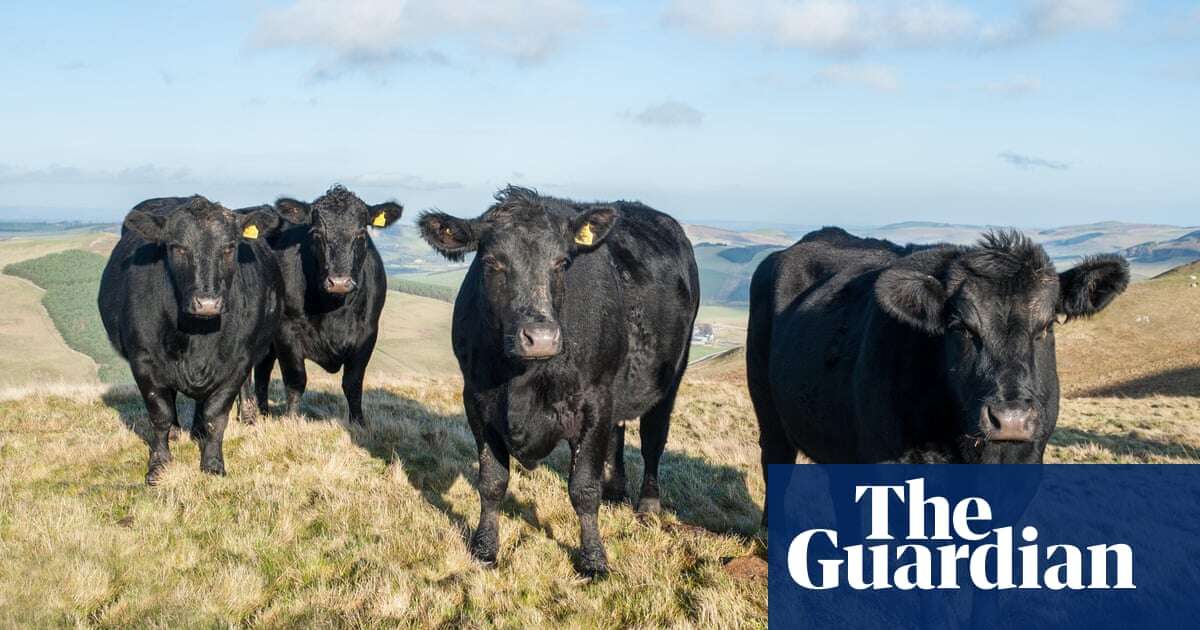 Scientists develop motion-powered health monitors for cows