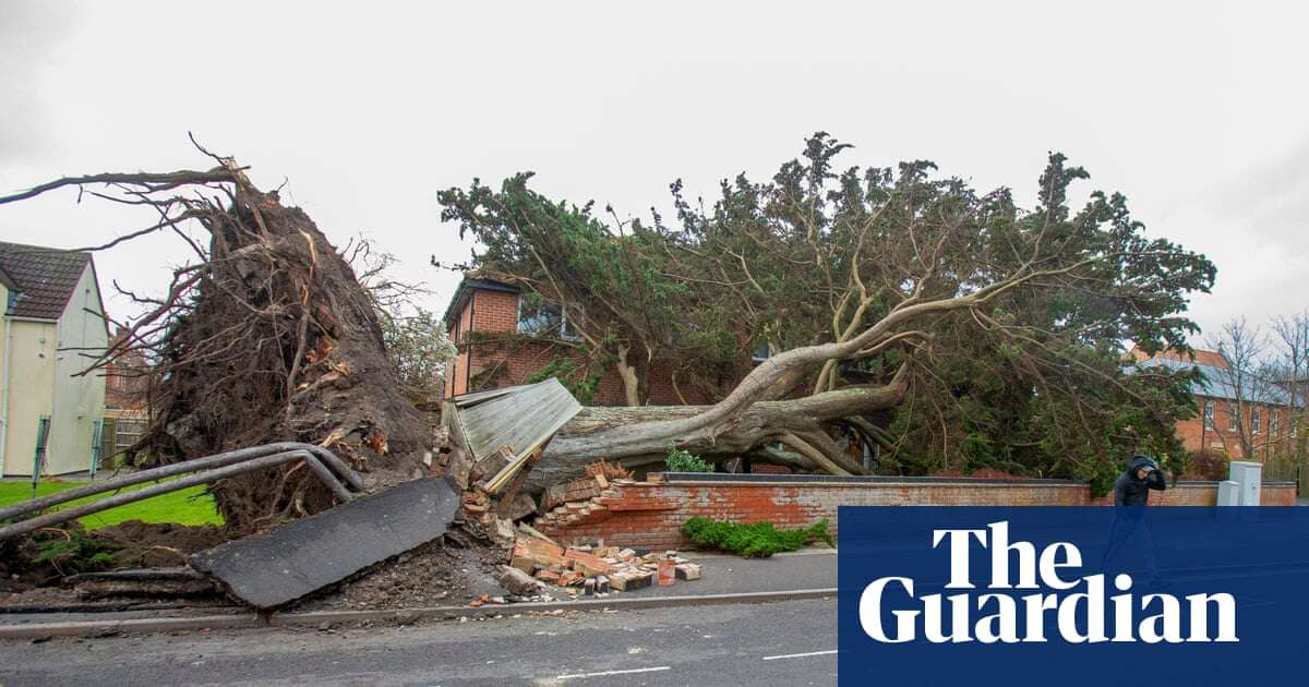 Two men killed by falling trees as Storm Darragh brings winds of nearly 100mph