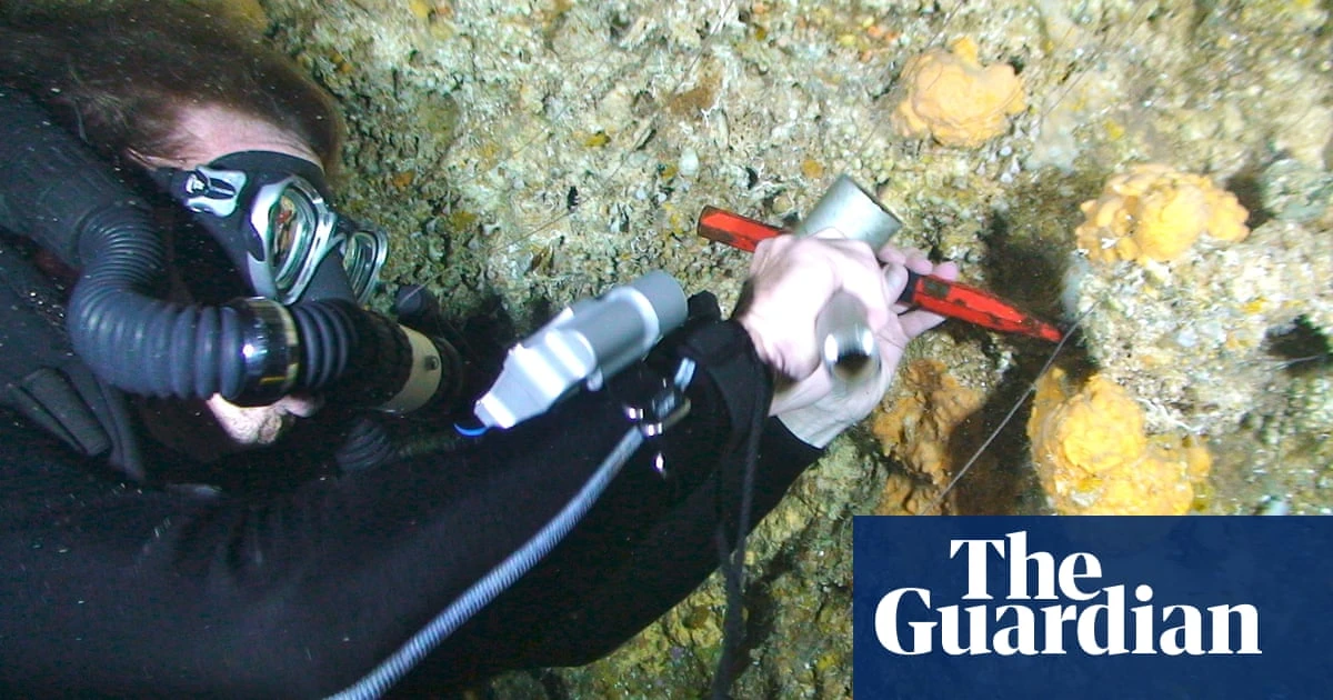 Ancient sea sponges at centre of controversial claim world has already warmed by 1.7C