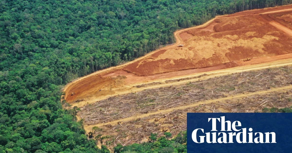‘Surely we are smarter than mowing down 1,000-year-old trees to make T-shirts’ – the complex rise of viscose
