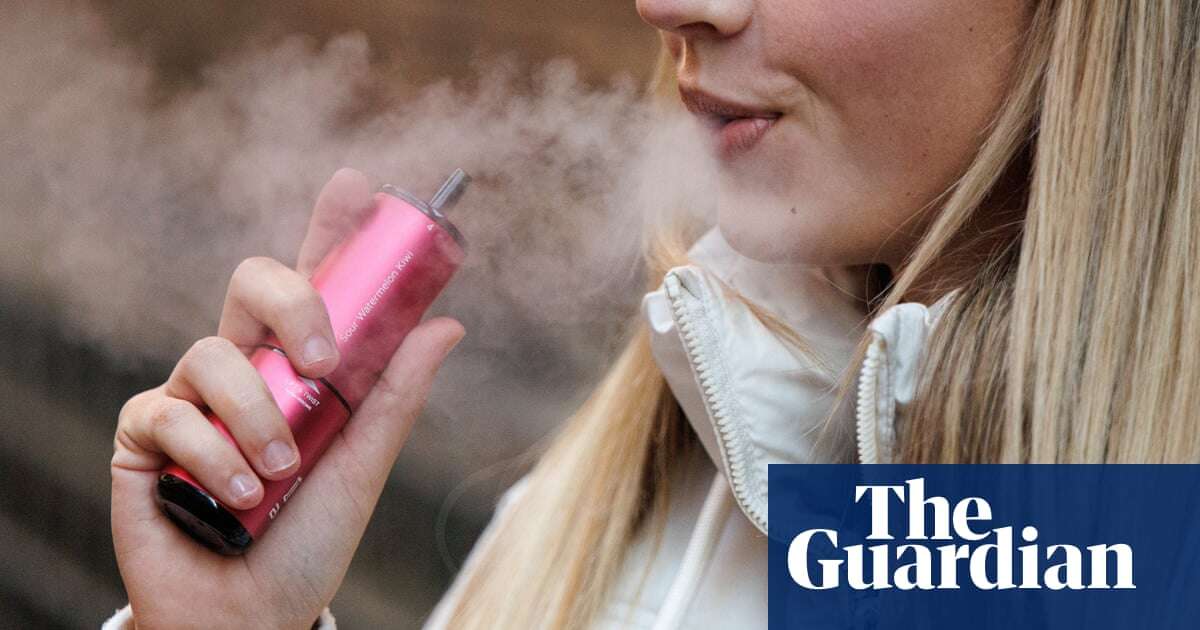 Disposable vapes ban could push some users back to smoking, ministers told