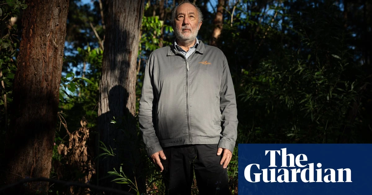 NSW forestry agency should be shut down for repeatedly breaking law, critics argue