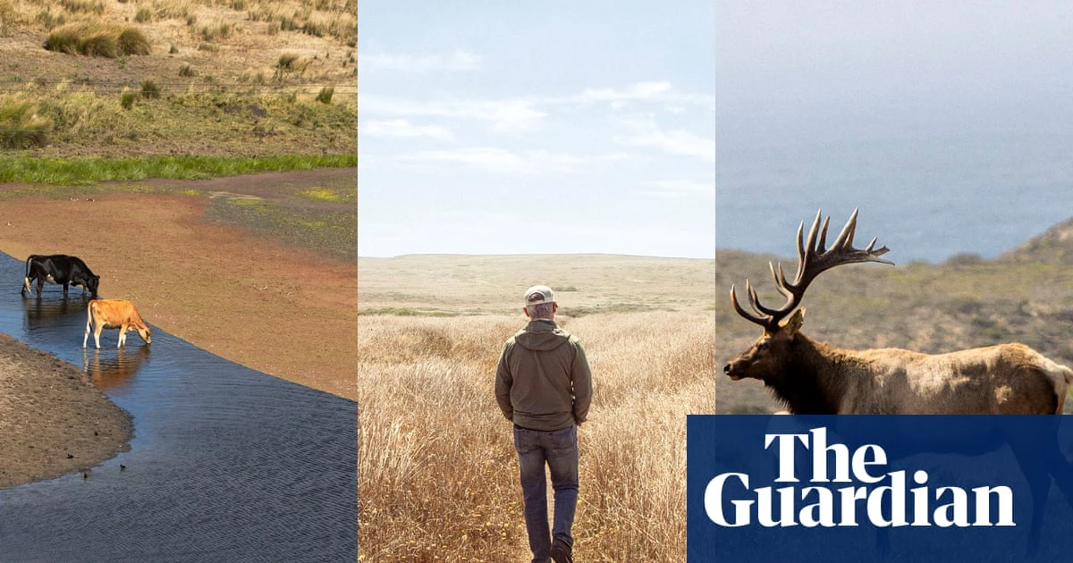 Bucolic battlefield: a California seashore says goodbye to dairy farms – and hopes to heal