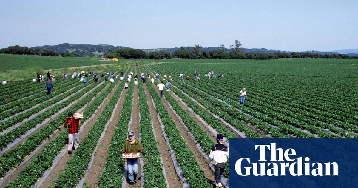 White House rescinds $20m for clean water in pesticide-contaminated rural California
