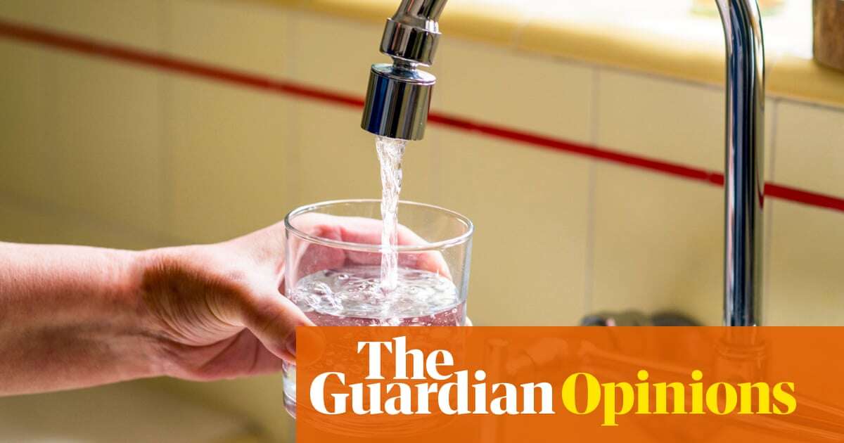 The Guardian view on chemical pollution: the UK can’t ignore the risks from PFAS | Editorial