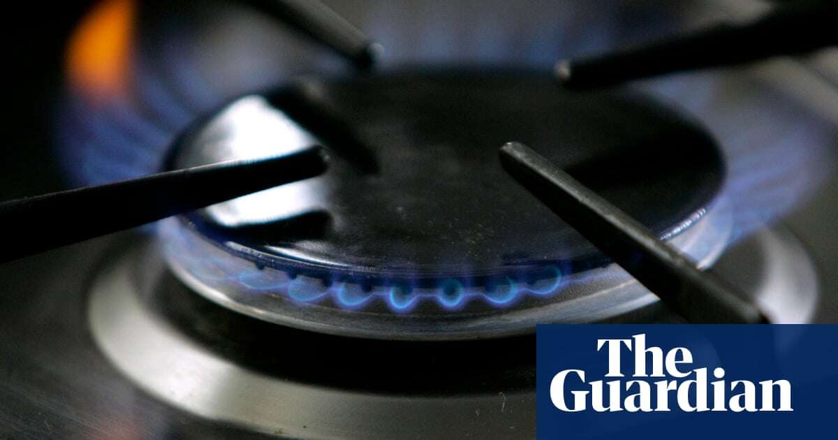 Gas stoves increase nitrogen dioxide exposure above WHO standards – study